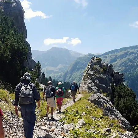 Rafting Camp Encijan Kamp alanı Foca