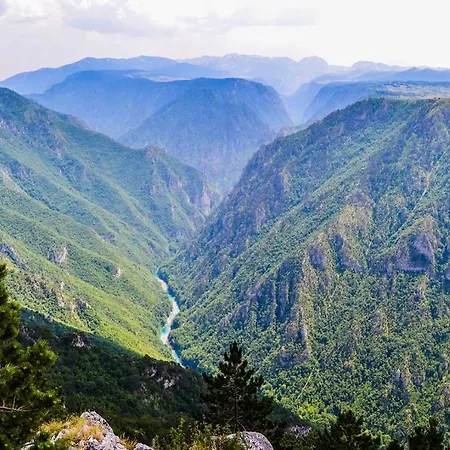 مخيم رافتينغ إنسييان فوتشا