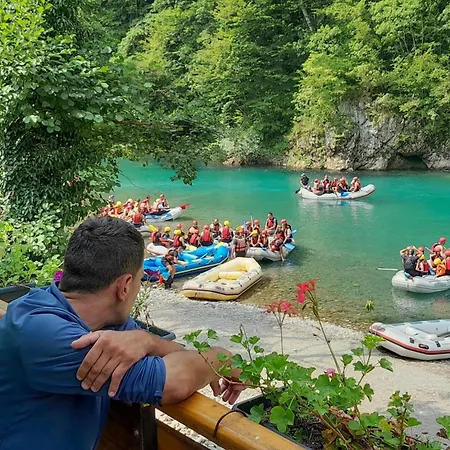 Rafting Camp Encijan Foca