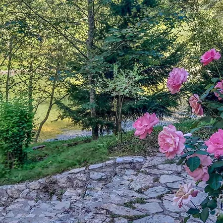 Campingplads Rafting Camp Encijan