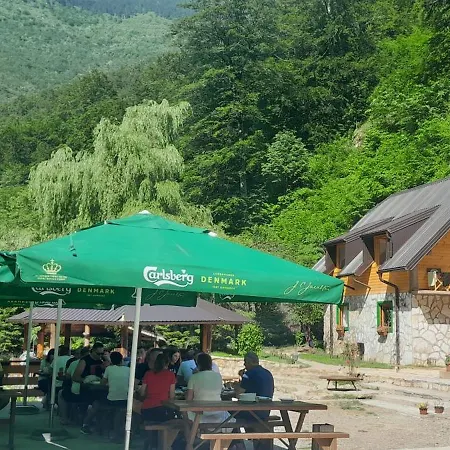 Rafting Camp Encijan Foca
