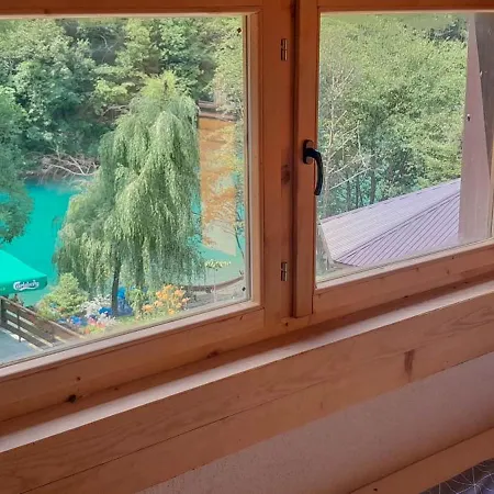 Rafting Camp Encijan Foca