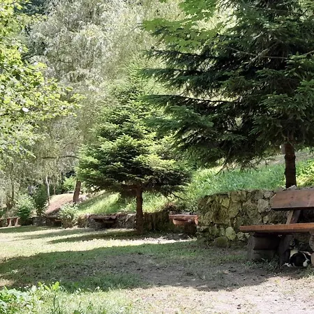 مكان تخييم مخيم رافتينغ إنسييان
