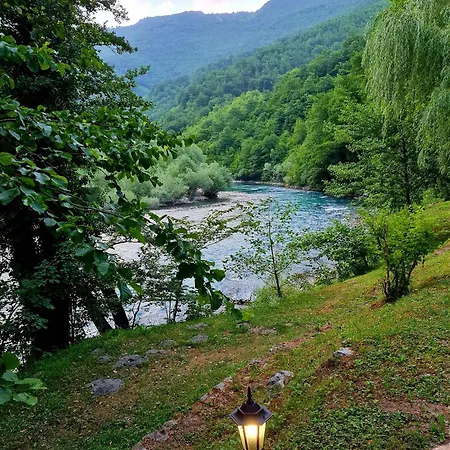 Rafting Camp Encijan Foca