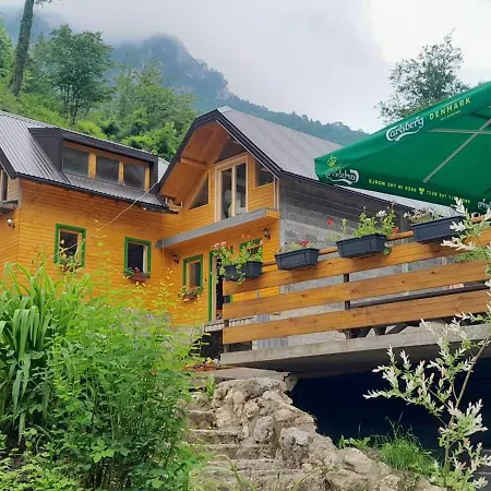 Rafting Camp Encijan Foca