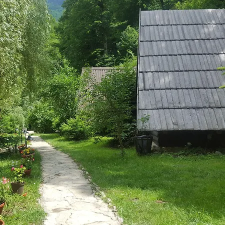 Rafting Camp Encijan Foca