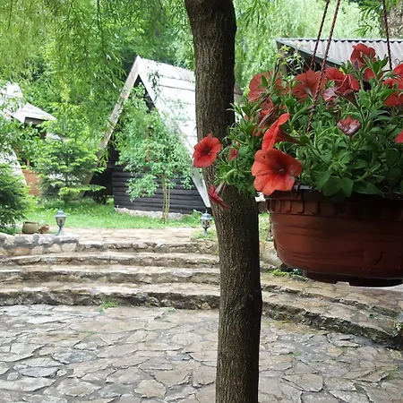 Rafting Camp Encijan Foca