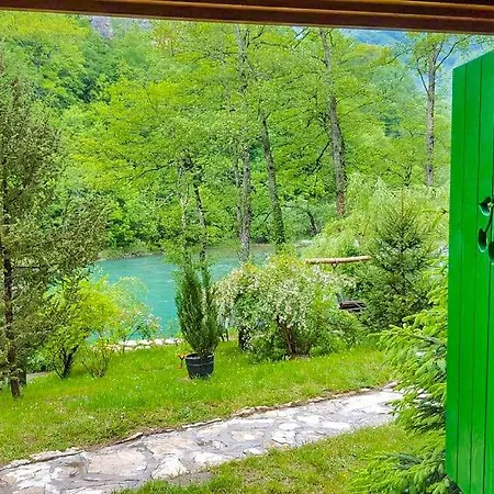 Campingplads Rafting Camp Encijan Foca