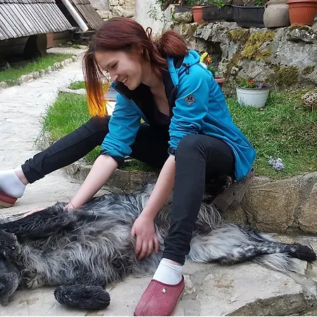 Rafting Camp Encijan Campingplads 3*