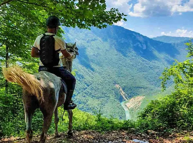 Rafting Camp Encijan