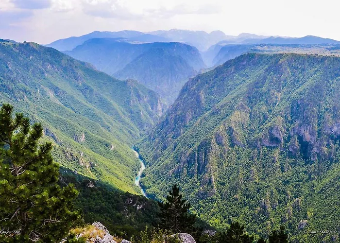 Rafting Camp Encijan Foca